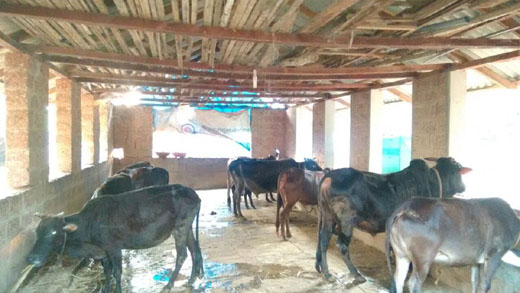 kairangala 14 apr 18
